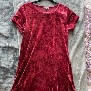 Z Supply Red Velvet T-shirt Dress